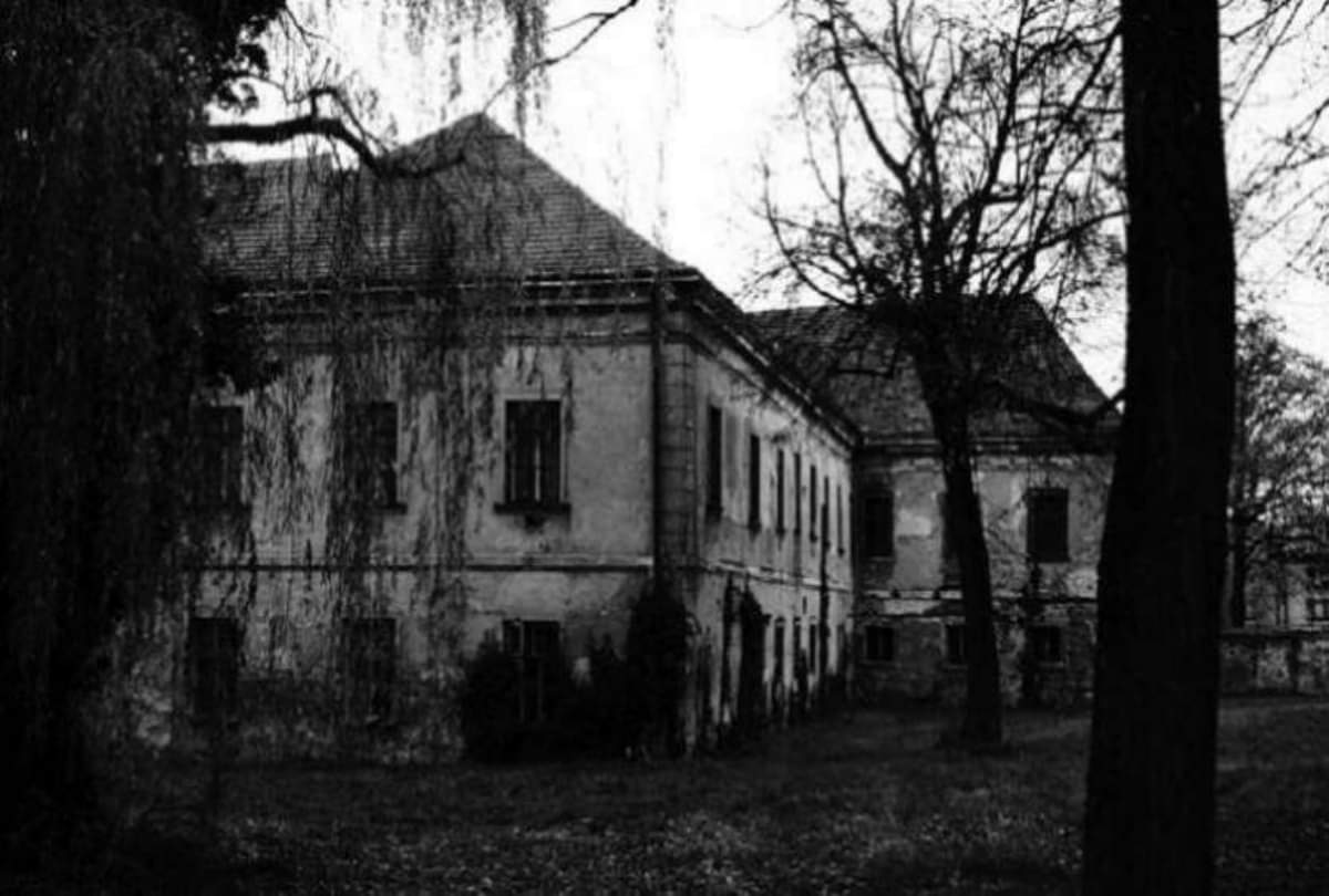 Singing voice comes from grave in uttar pradesh meerut