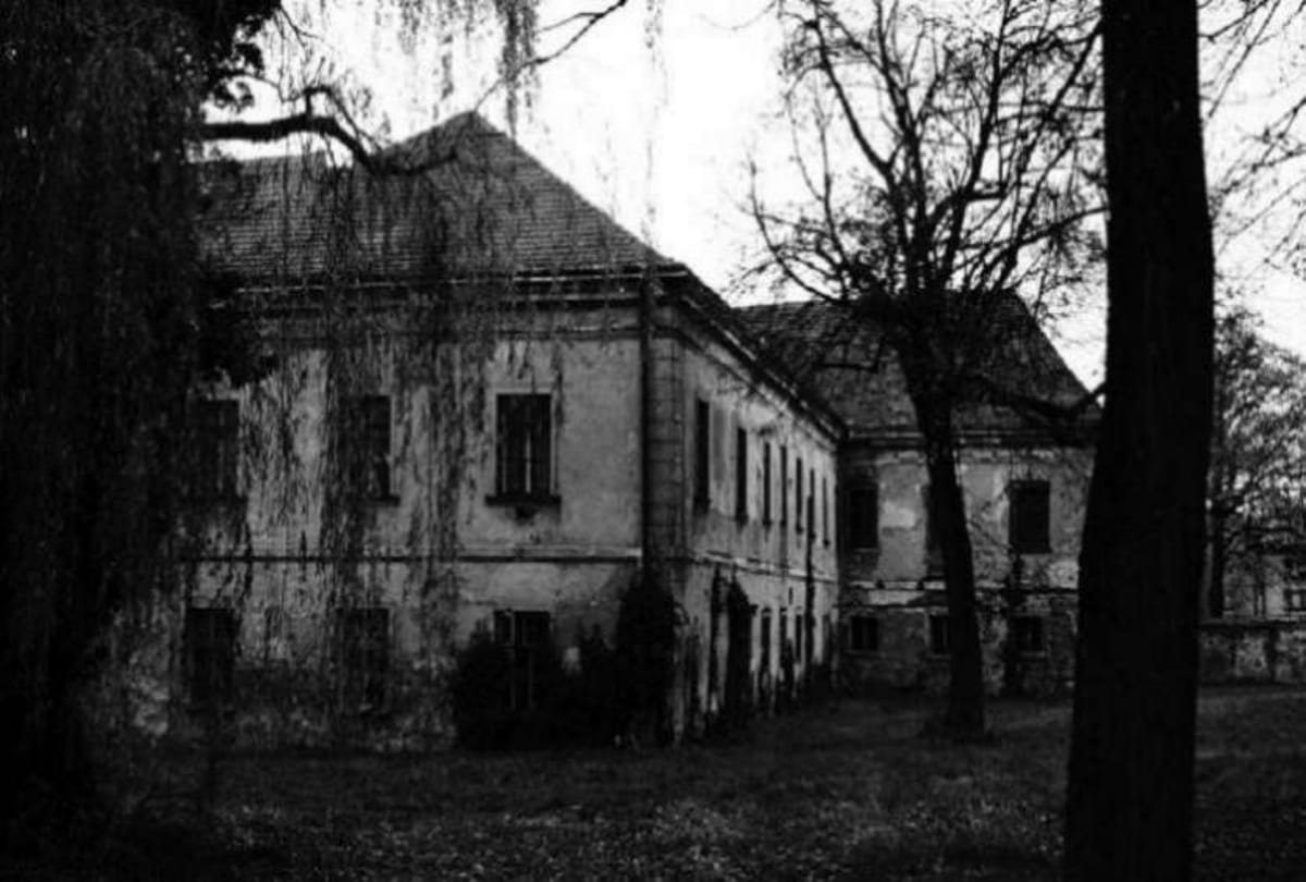 woman shocked after Realization ghost in her home