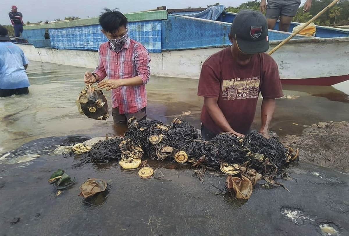 A dead whale with plastic bags in stomach found dead in Indonesia