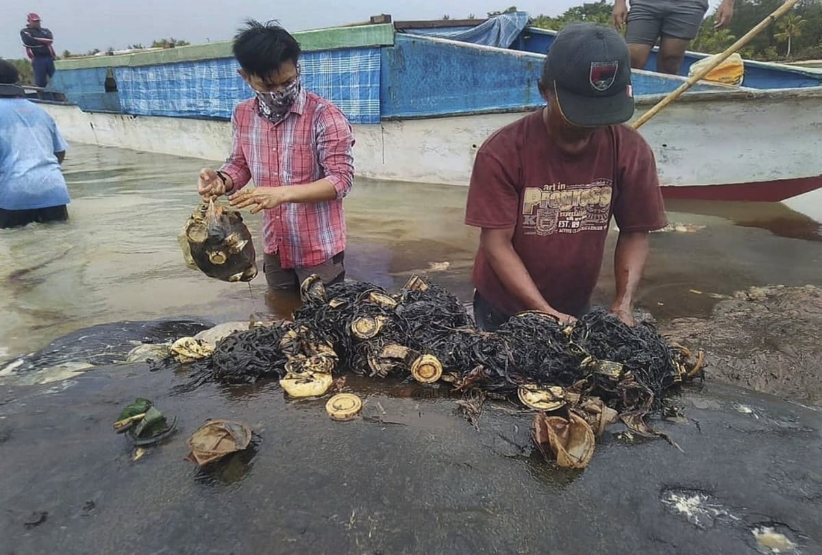 A dead whale with plastic bags in stomach found dead in Indonesia