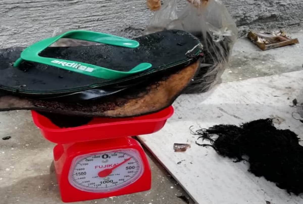 A dead whale with plastic bags in stomach found dead in Indonesia