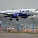 indigo (pti)