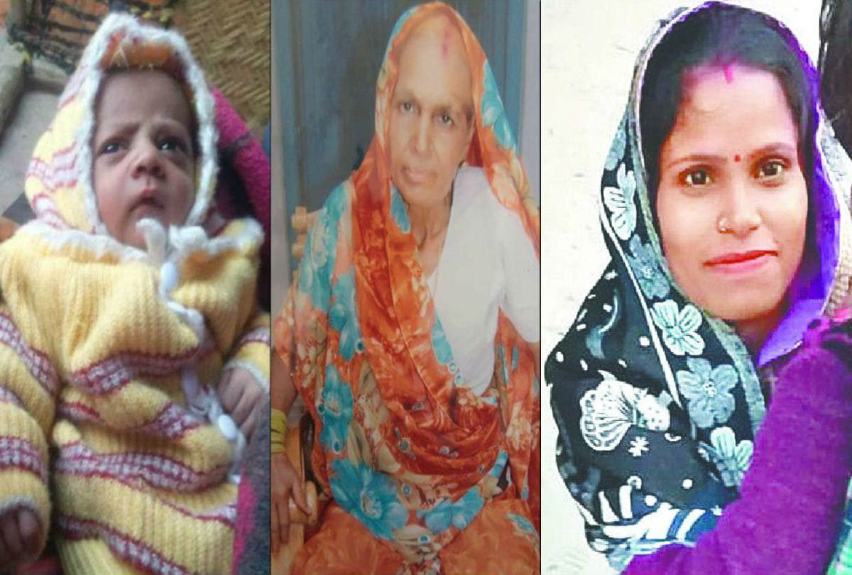 monkeys killed three persons within nine days in agra