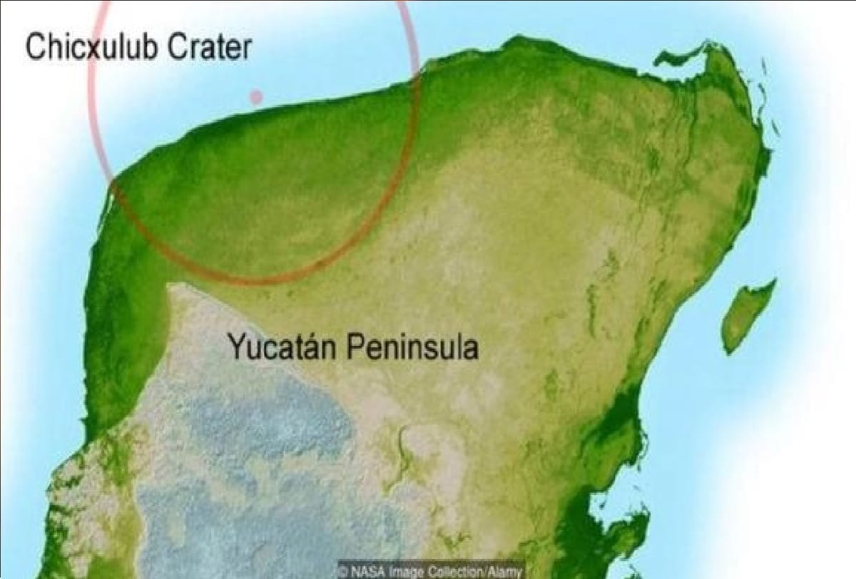 12 KM Huge Meteor Wiping Out Dinosaurs Facts Distant Space Collision Doom For Dinosaurs