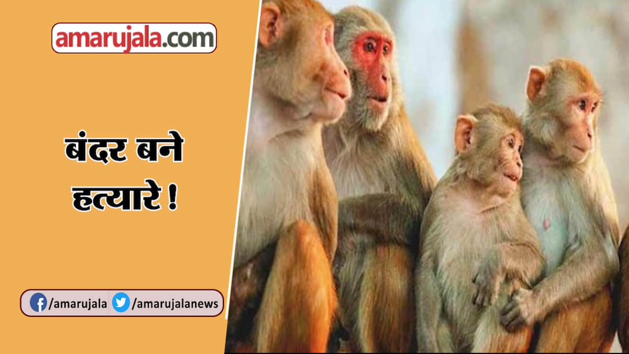 न्यूज हेडलाइन