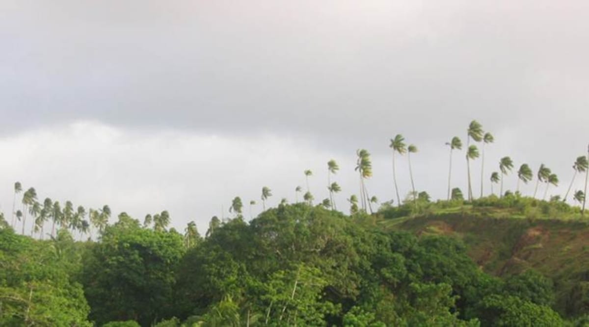 Know all about Sentinelese tribe of Andaman island, who recently killed an American citizen