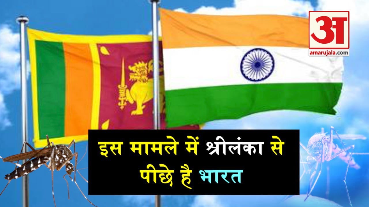 डिजाइन पिक्चर