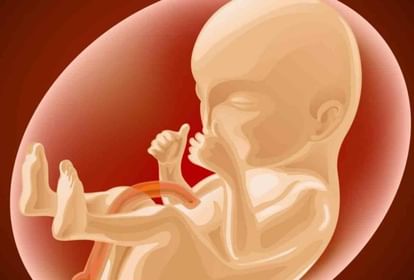 Dehradun News: Another-fetus-found-near- Doon Hospital