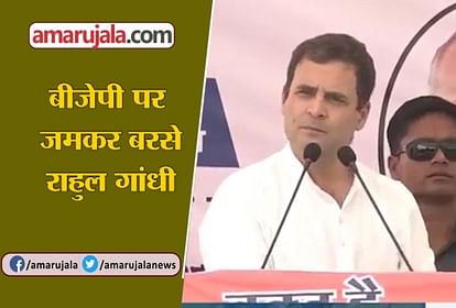 राहुल गाँधी