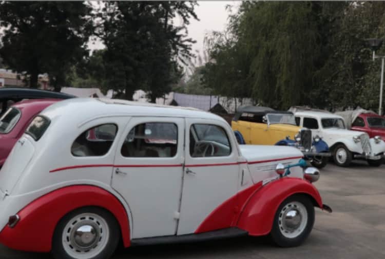 Chandigarh Carnival started from Friday