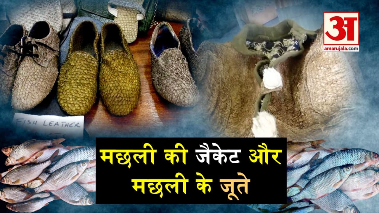 प्रतीकात्मक तस्वीर