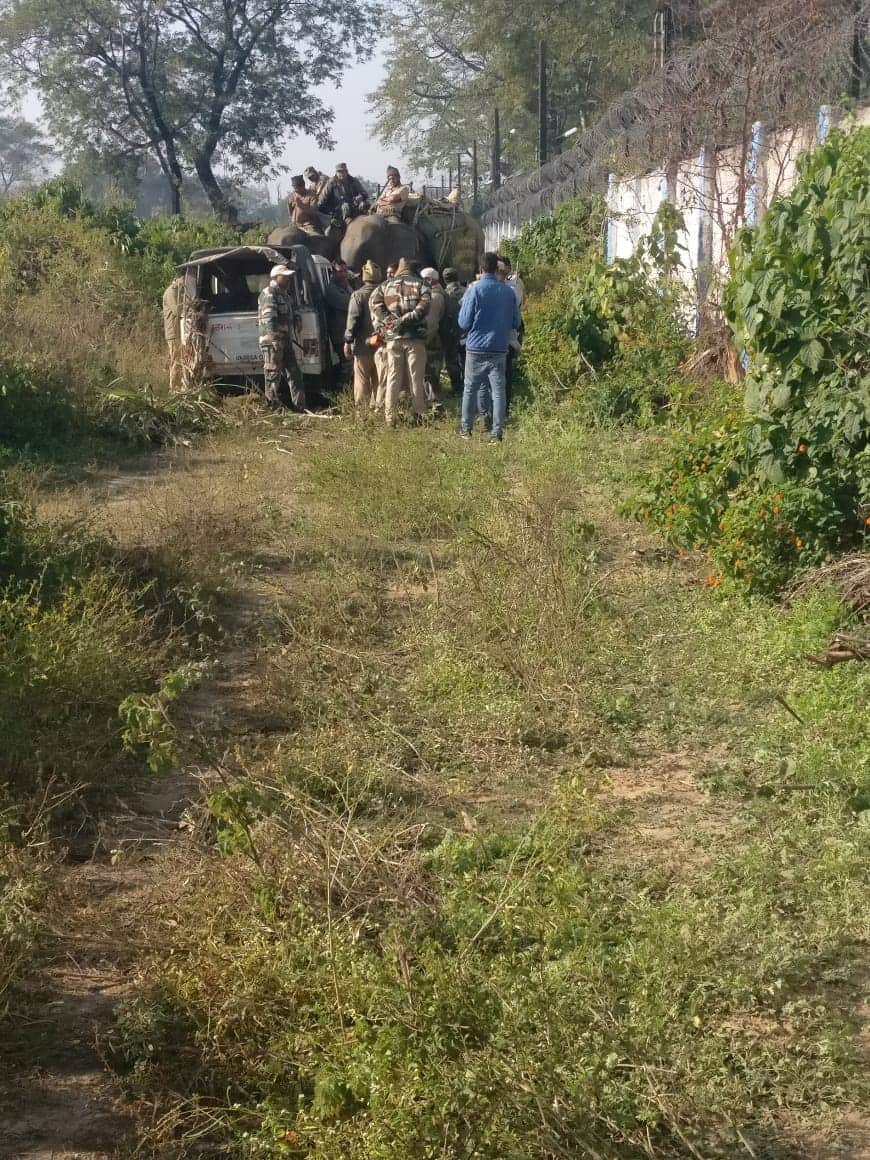 Forest department team caught dangerous elephant in haridwar