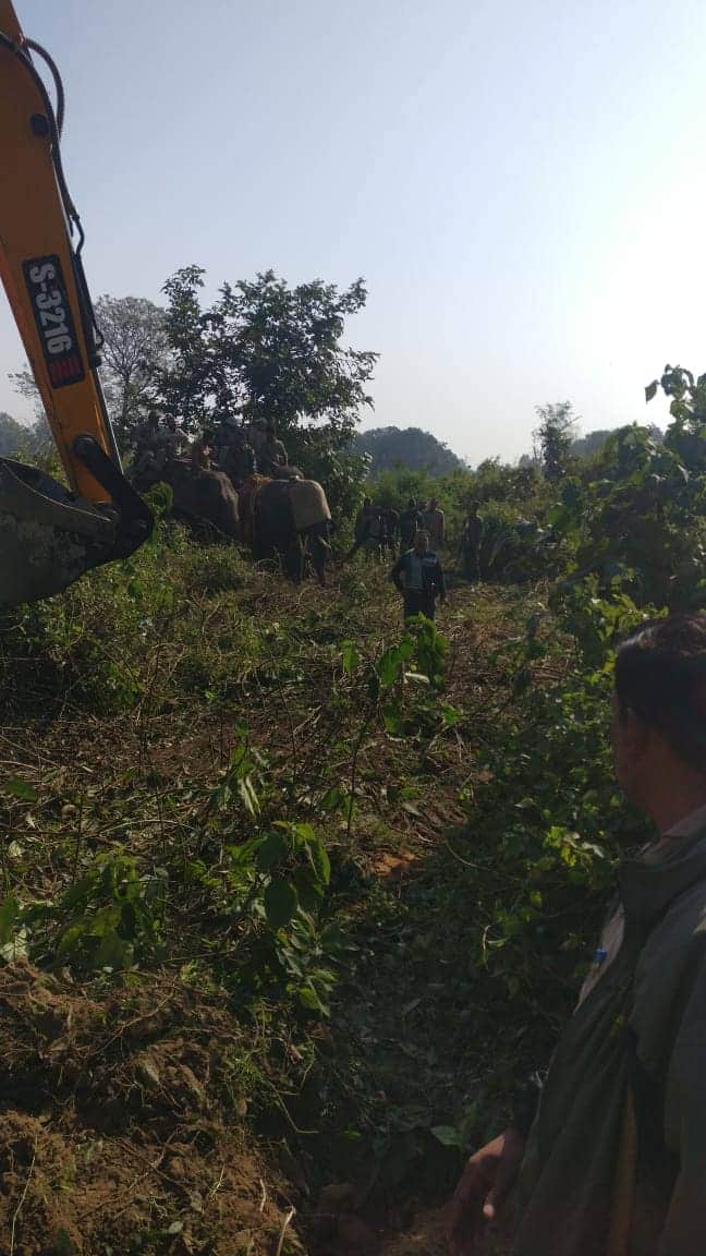 Forest department team caught dangerous elephant in haridwar