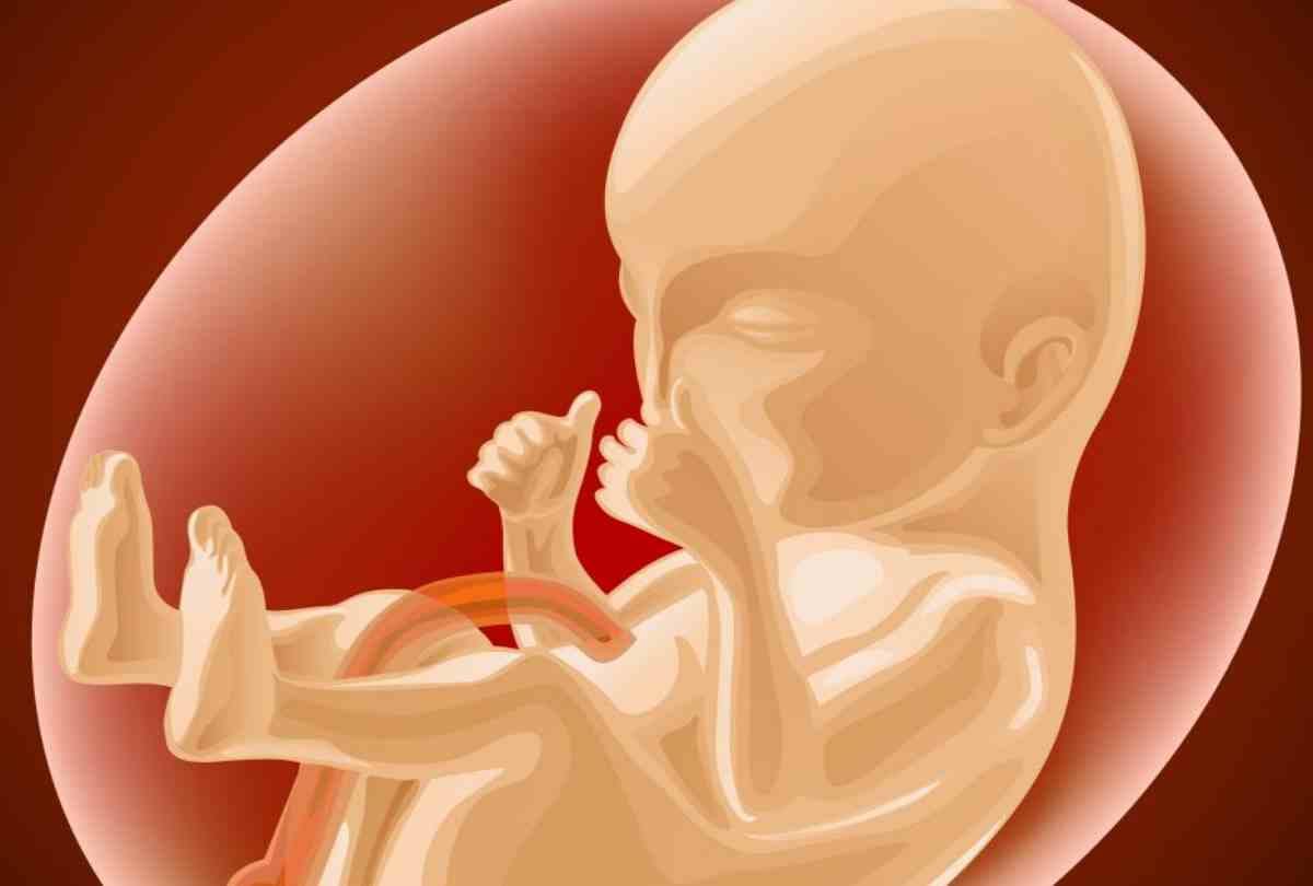 FIR against ultrasound centers examining of female fetus