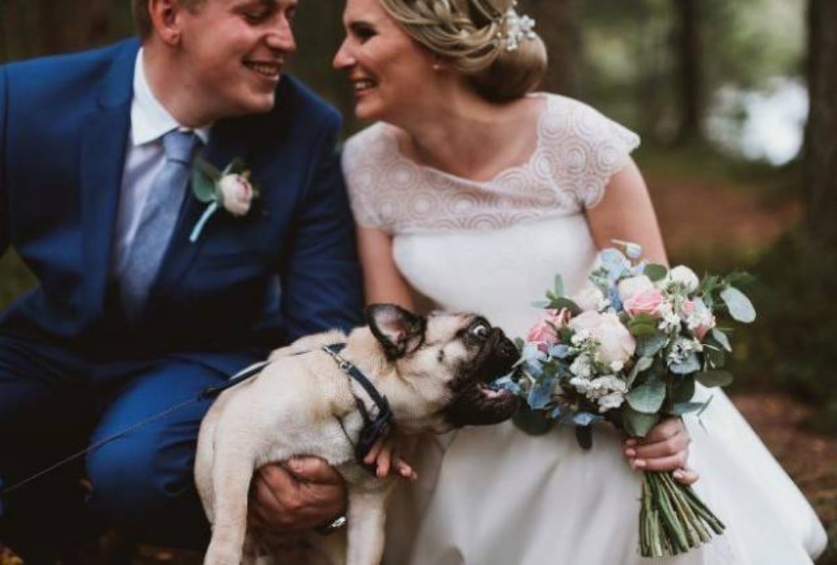 10 Unbelievable wedding moments photos makes you laugh loud