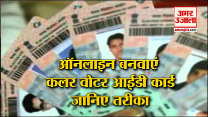 online color voter id card apply by sitting at your home