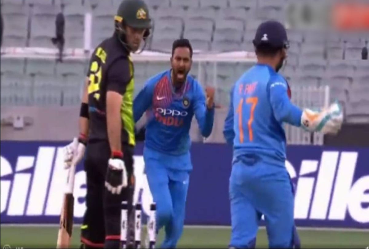 Video: Krunal Pandya bowled Glenn Maxwell and takes revenge of Brisbane T-20