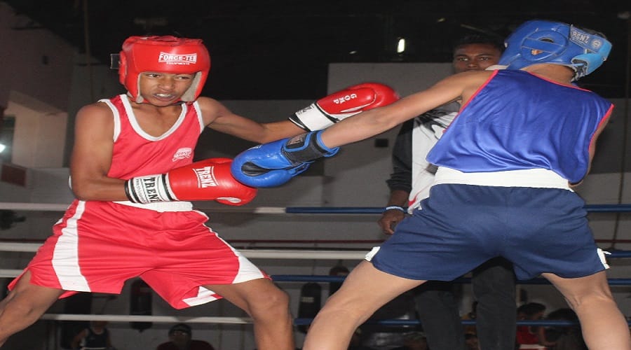 Meerut, sub Junior Boxing Competitions and Players Awarded