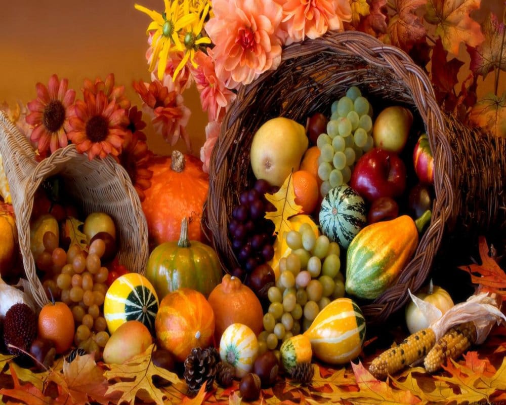 Thanks giving day 2018 in india: History of celebrating Thanks giving day