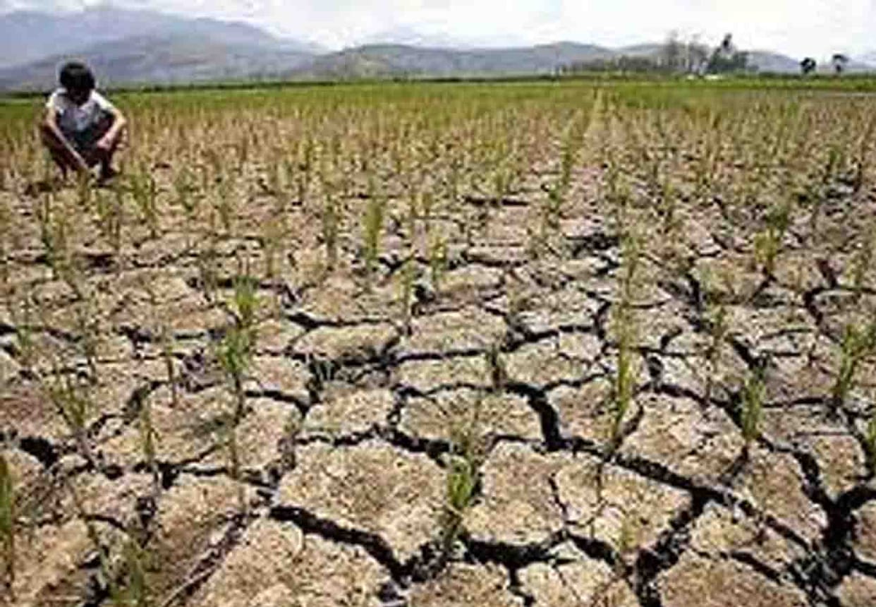 Artificial rain done by IIT Kanpur in bundelkhand