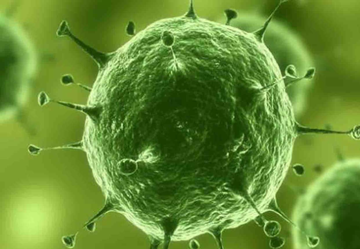 Bacteria of plants more powerful than ever before