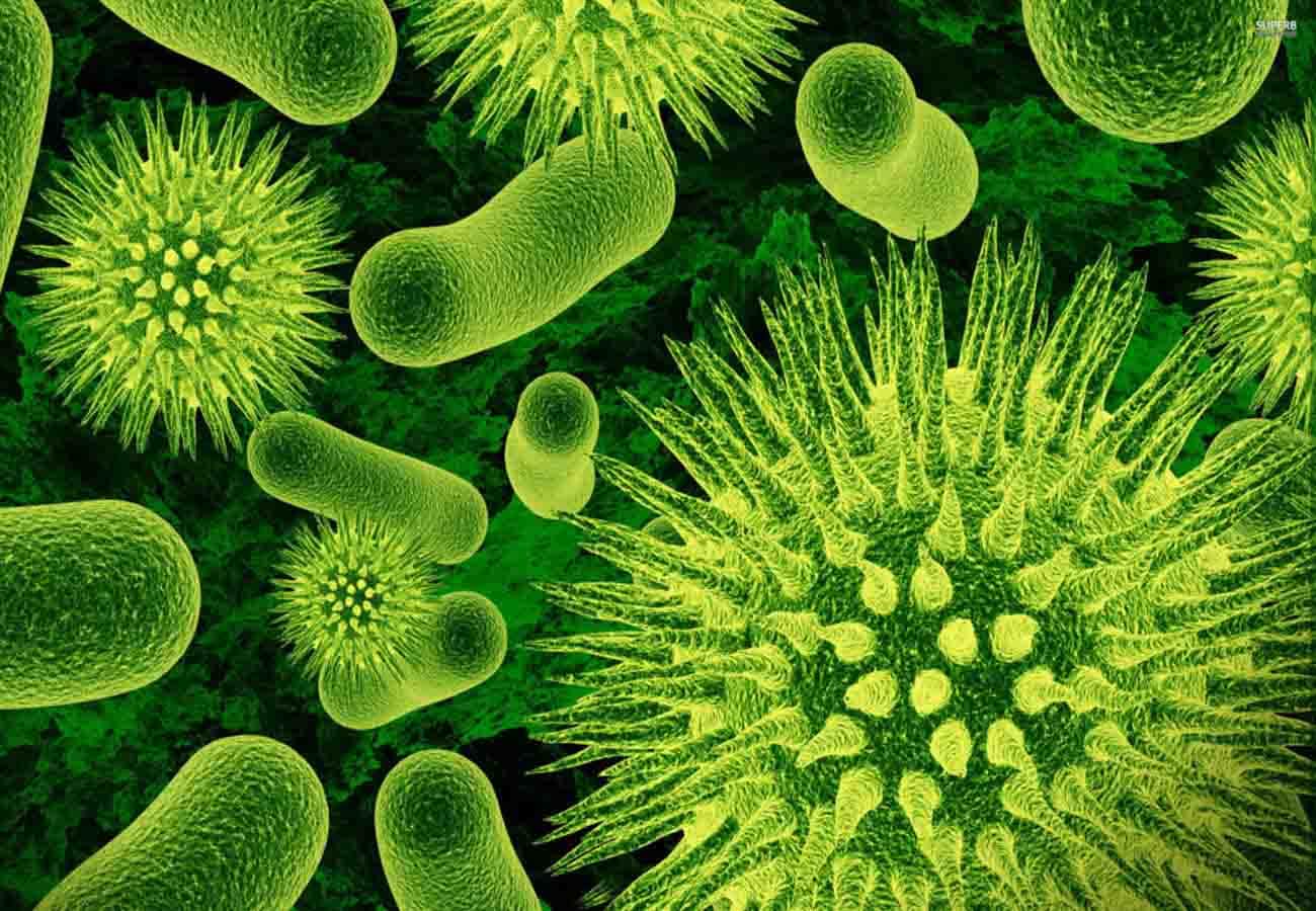 Bacteria of plants more powerful than ever before