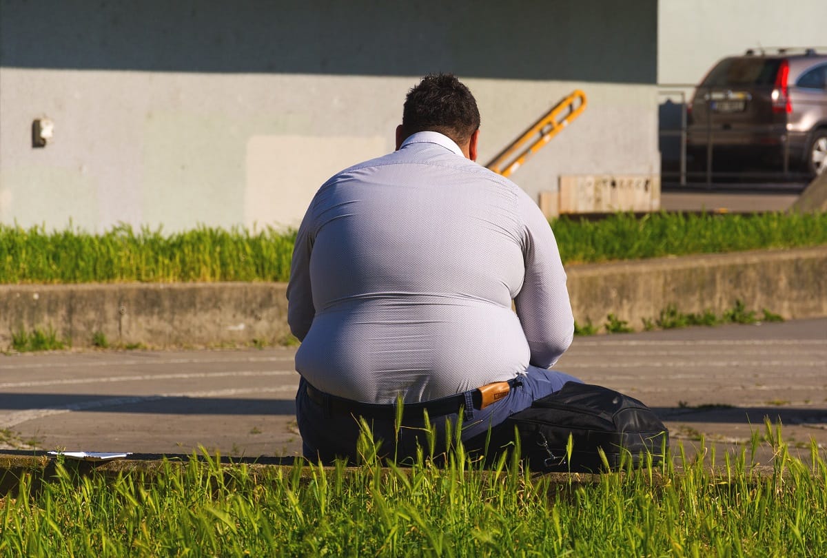phosphorus important for body fat