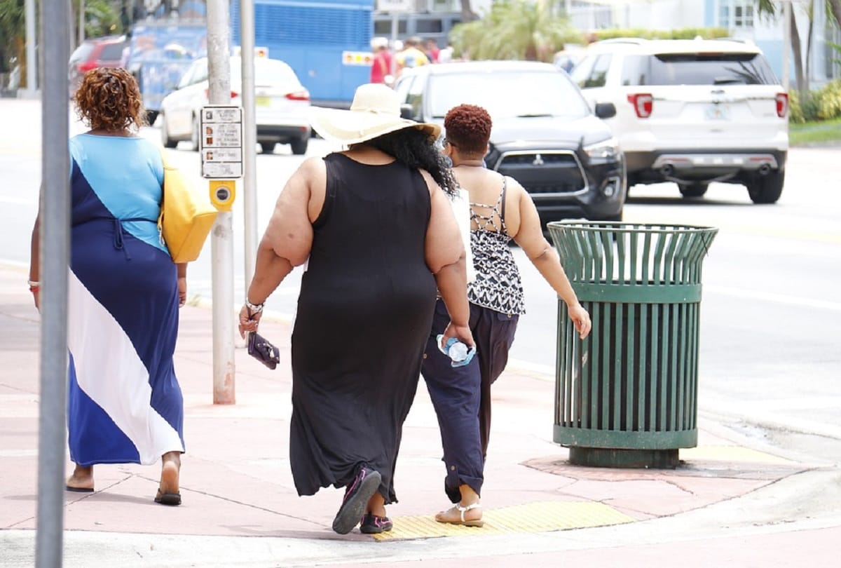 obesity affect on health and body