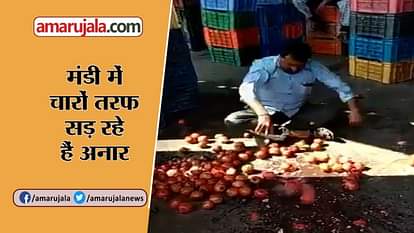 A farmer from Maharashtra takes his anger out on unsold pomegranates