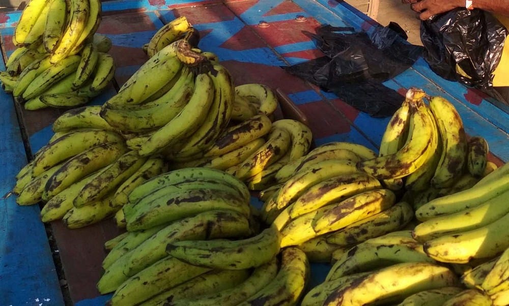 no effect of polythene van