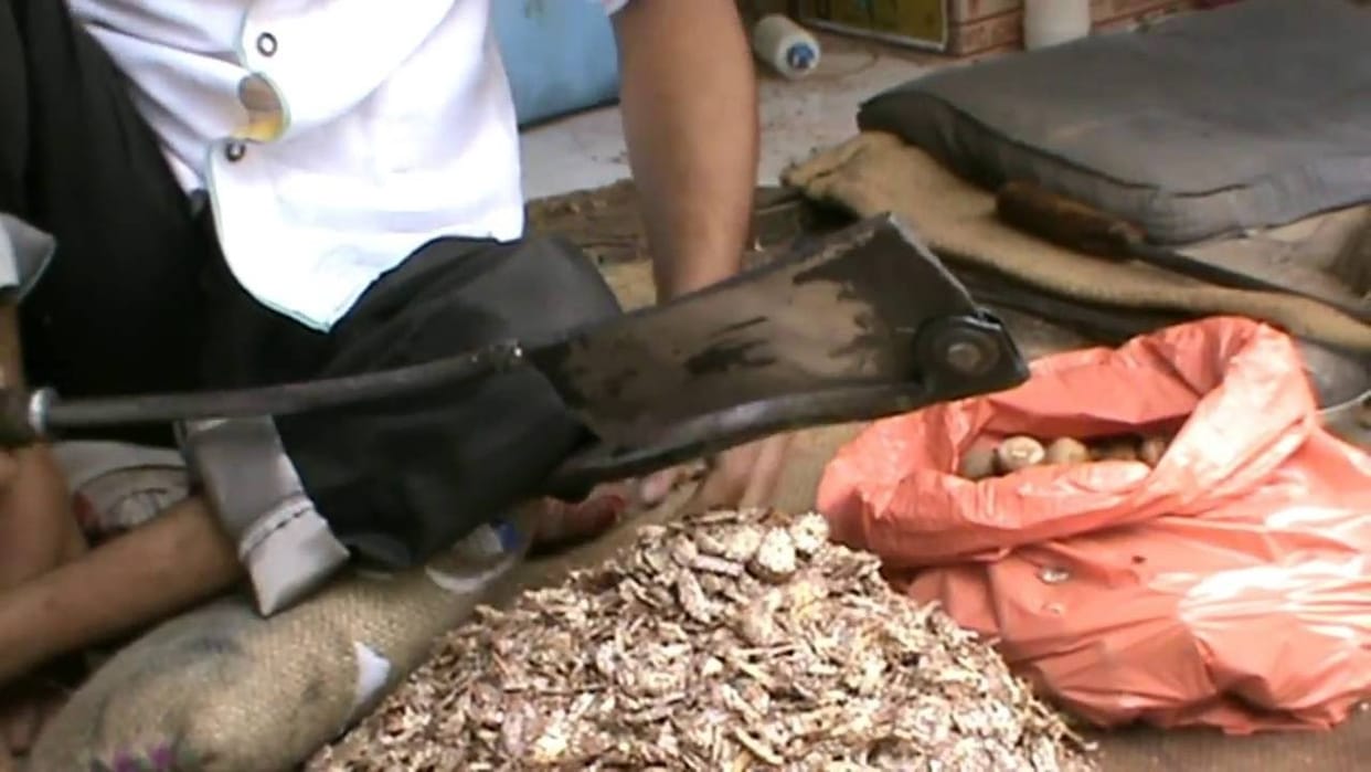 Beware of betel leaves, FSSAI feared fungus