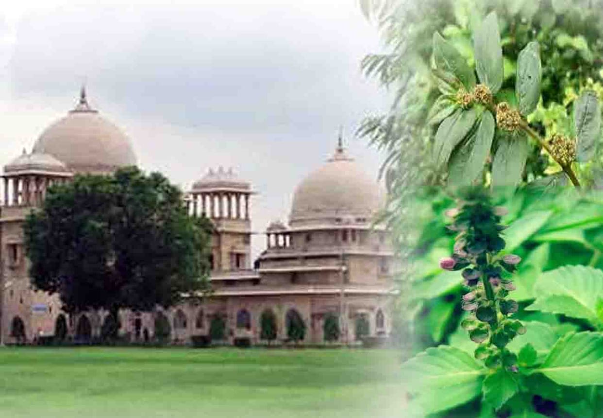 Foreign scientists demanded for extinct medicinal plants from kanpur