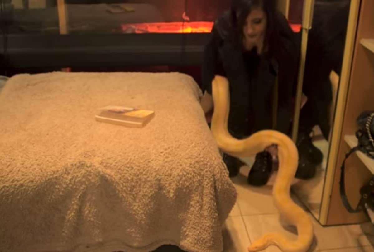 Girl sleeping with a dangerous creature in night in london