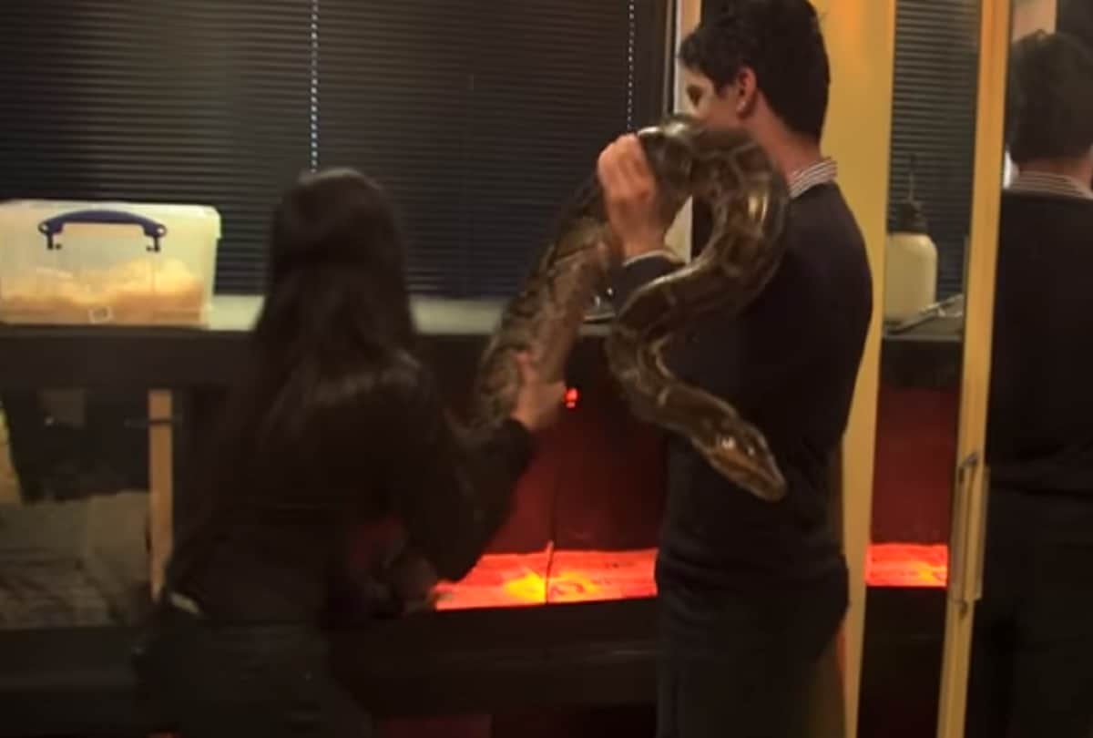 Girl sleeping with a dangerous creature in night in london