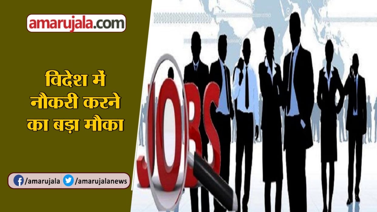 In these departments more than five thousand posts are being recruited-safalta