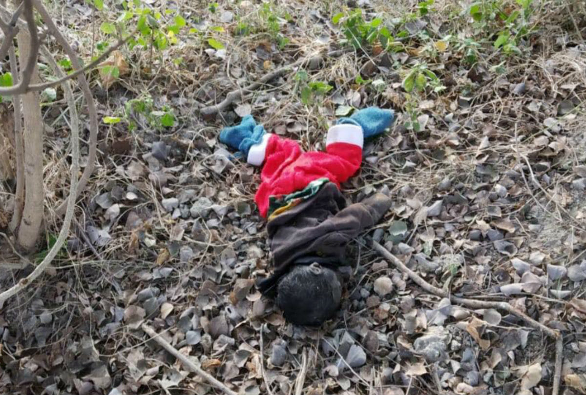 three year old boy killed in firozabad