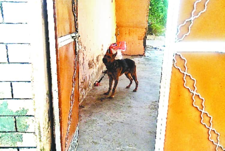 chandigarh daughter made murder of her mother and her three grand children in panchkula