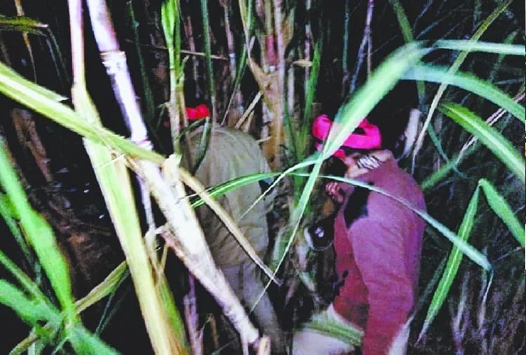 Search operation till several hours in Pathankot