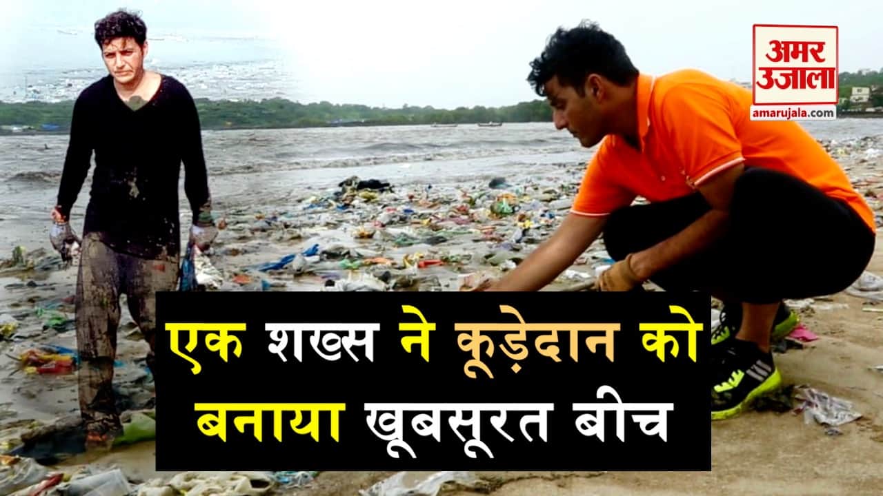 डिजाइन पिक्चर