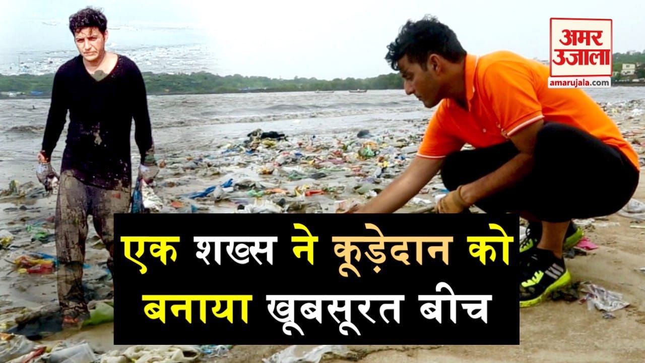 डिजाइन पिक्चर