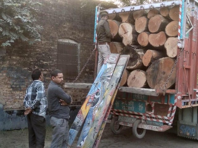 81 finger mangoes of wood recovered