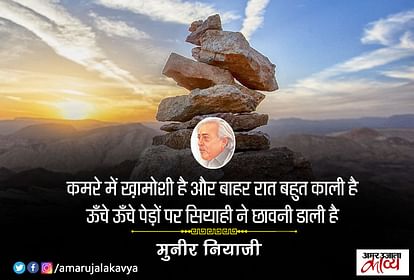 मुनीर की शायरी में जज़्बे को ज़बान देने का अमल है- शीन काफ़ निज़ाम