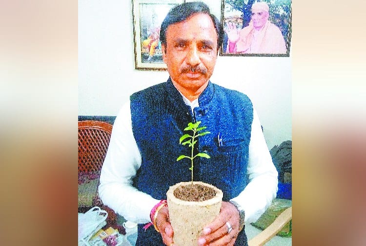 Invention to do Environment Preservation via plantation