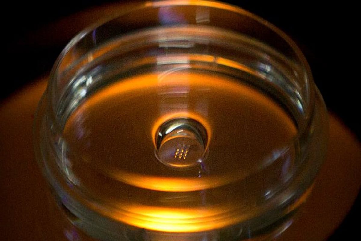 Chinese researcher claims world first genetically edited babies twin girls born