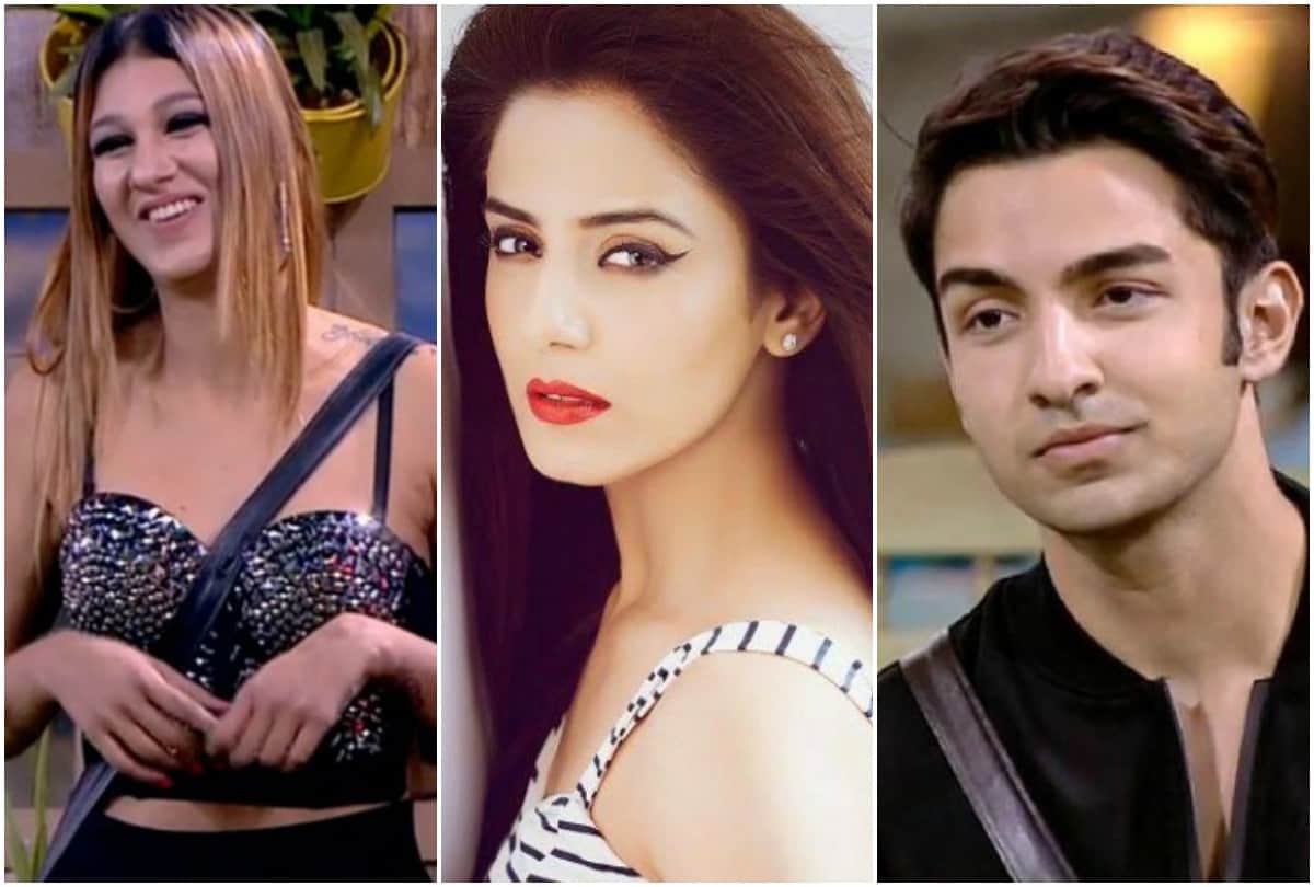Bigg Boss 12 Instead of Jasleen Matharu and Rohit Srishty Rode evicted reason revealed