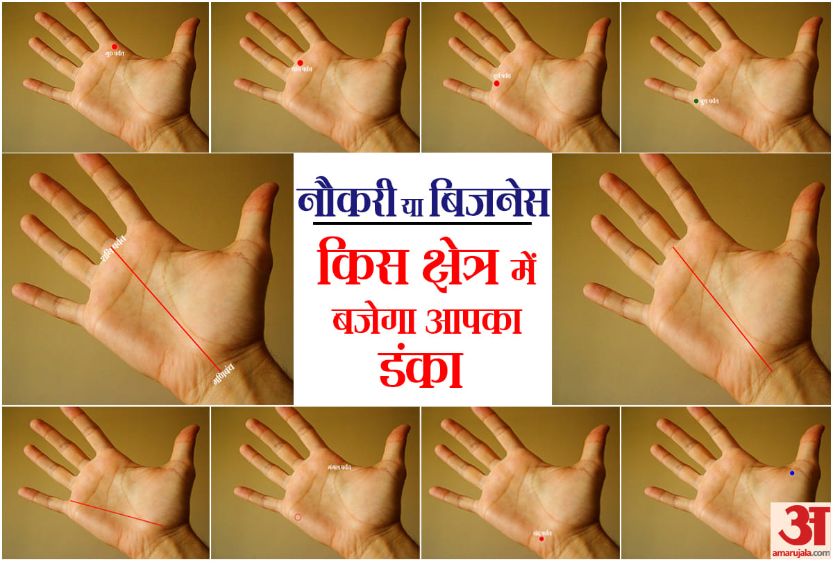 palmistry prediction career line in hand and successful career life