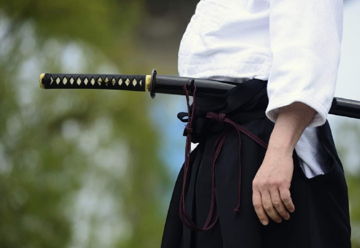 Samurai Sword Use in Space for Collecting Sample of Meteoroid Ulka Pind Mystery