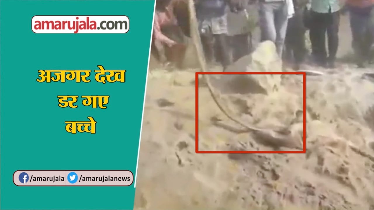 स्नेक