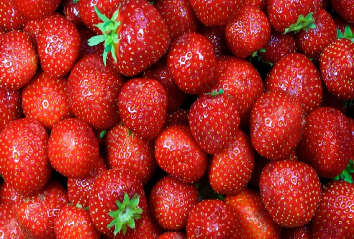 Needle in strawberries in New Zealand