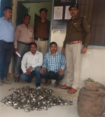 RPF dumped two including sea seas from City Railway Station
